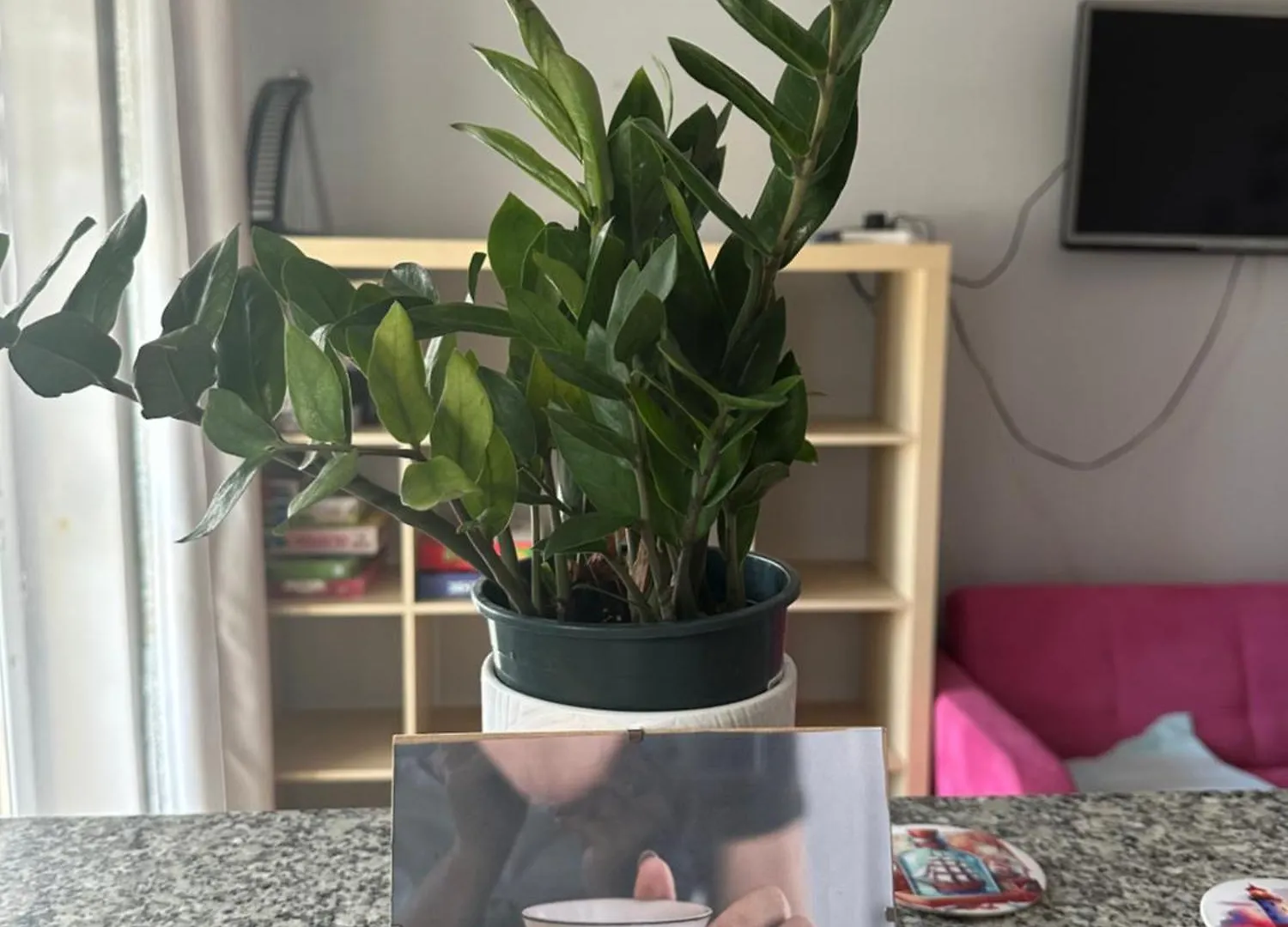 Przytulne Mieszkanie Cosy Apartment Gdańsk